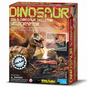 חפירת שלד דינוזאור Velociraptor קיט מדע וטבע לילדים