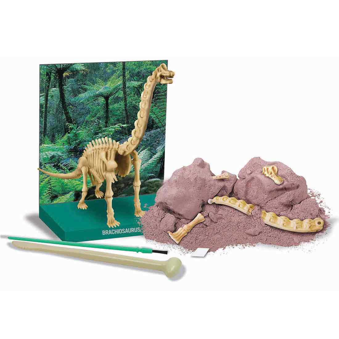 חפירת שלד דינוזאור Brachiosaurus ערכת ארכאולוגיה לילדים