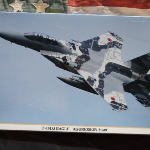 מודל הרכבה מטוס תקיפה F-15DJ EAGLE AGGRESSOR 2009 יפן 1:48
